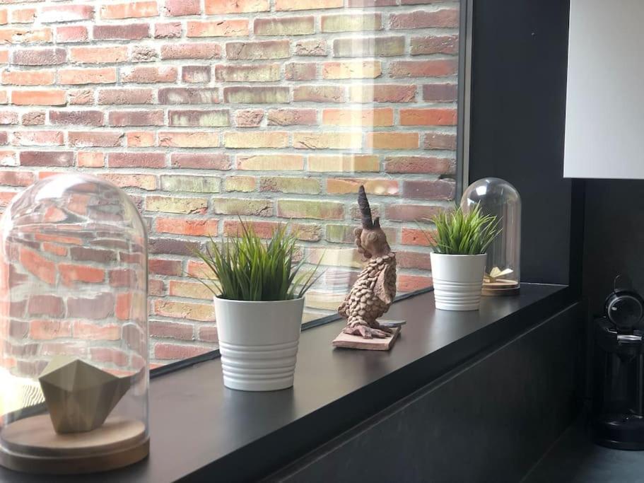 Hedendaags, Verzorgd Op Unieke Locatie Oostende